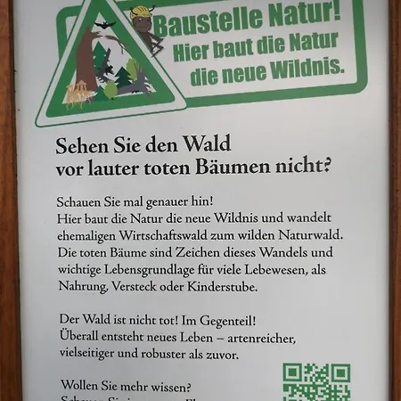 Apartament App 350 Mit Brockenblick Braunlage Zewnętrze zdjęcie